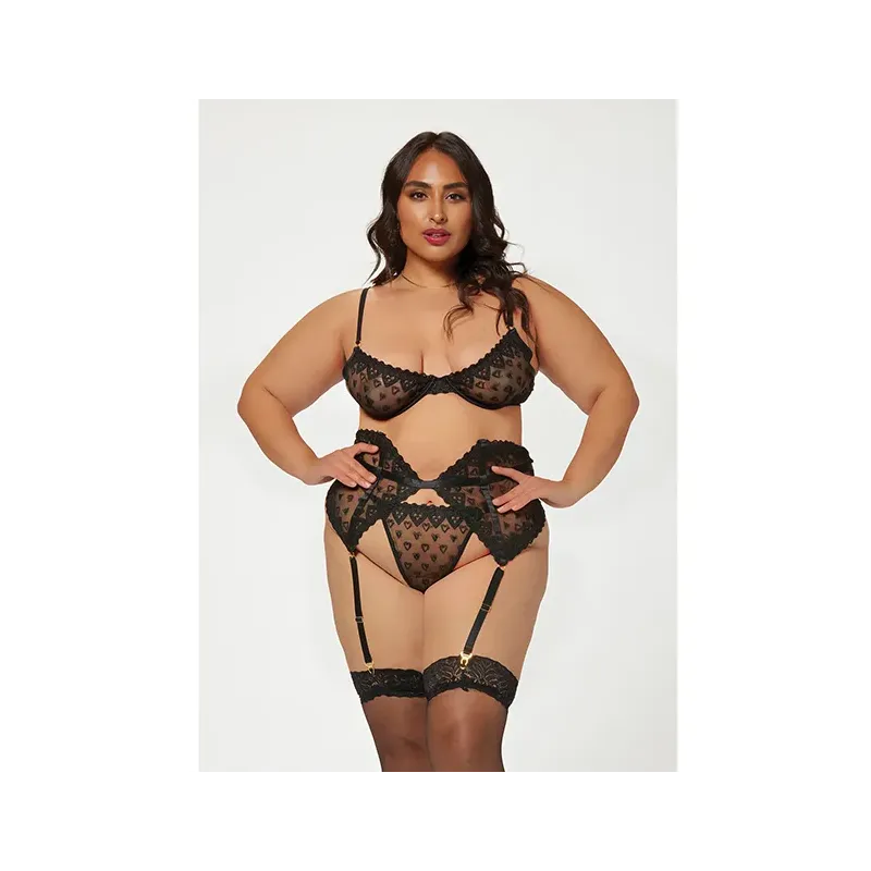 Heart Embroidered Mesh Bra, Waspie and Panty Set