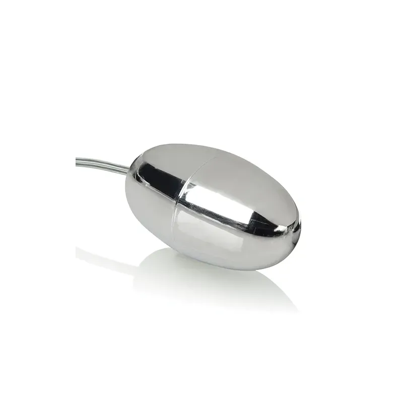 Turbo Bullet Vibrator with Waterproof Power Pack