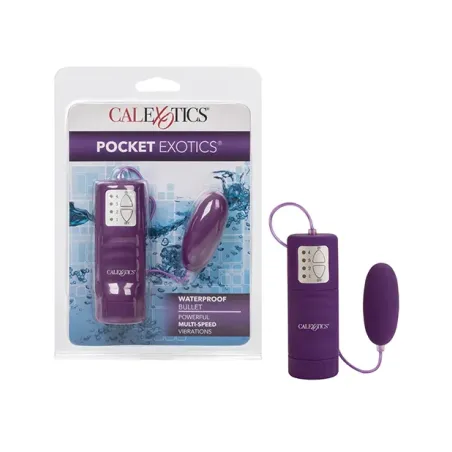 Pocket Bullet Vibrator with 4-Speed Controller