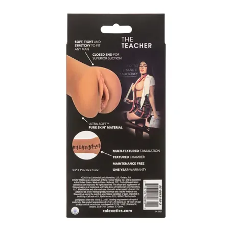 Cheap Thrills The Teacher Stroker with Textured Chamber