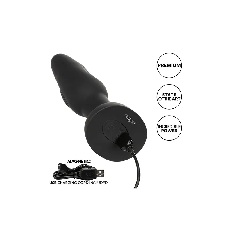 Dual Pulsating Anal Probe with Memory Chip