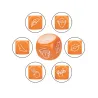 Icon-Based Sex Dice Game for Couples