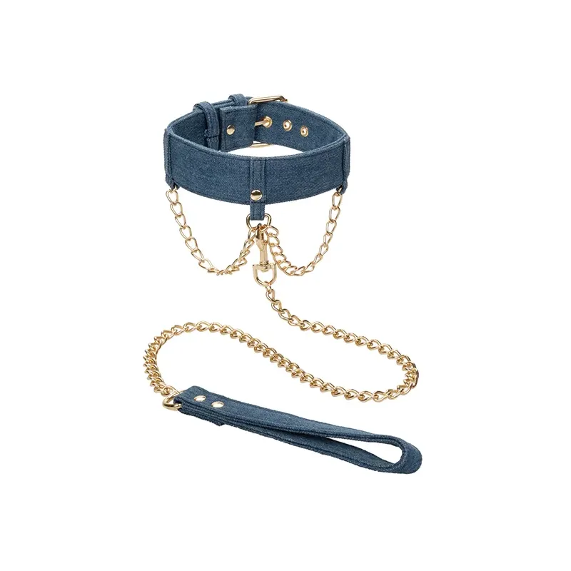 Denim Collar with Detachable Leash