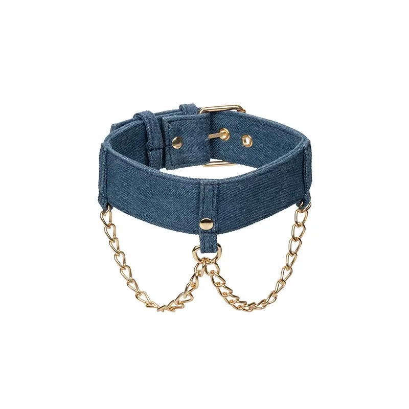 Denim Collar with Detachable Leash