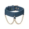 Denim Collar with Detachable Leash