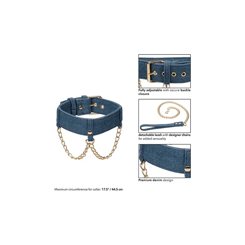 Denim Collar with Detachable Leash