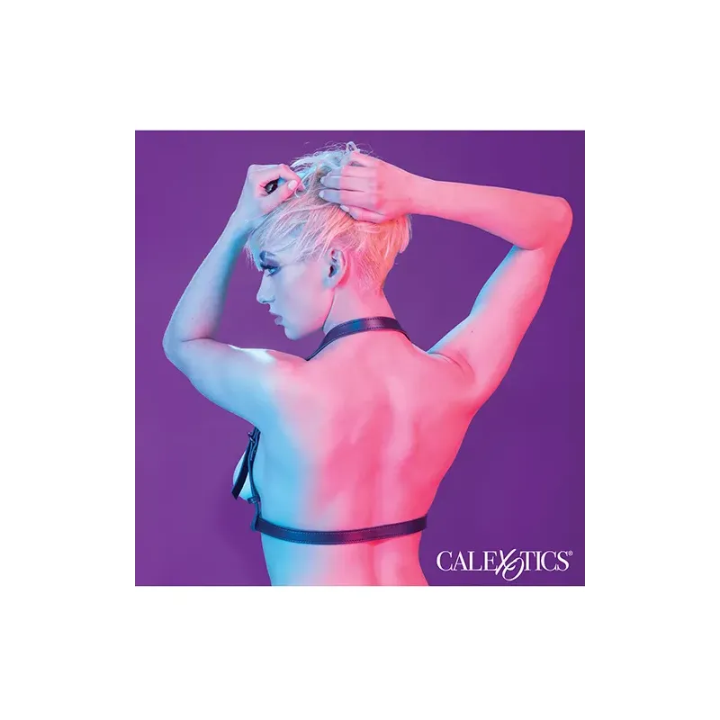 Halter Buckle Body Harness in Black