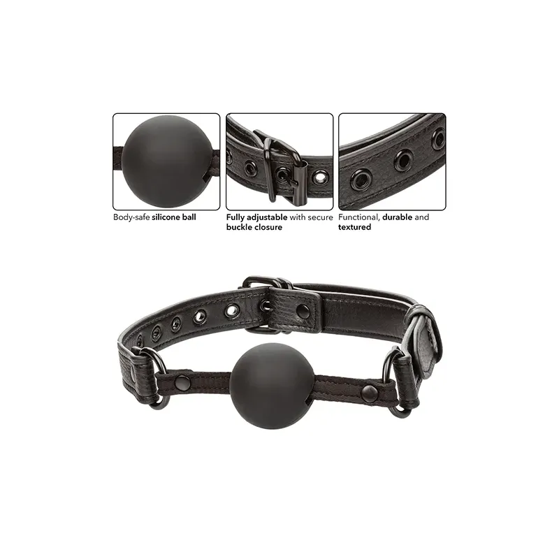 Nocturnal Collection Ball Gag with Adjustable Buckle Strap